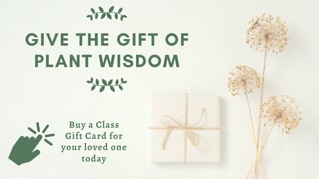 Gift Card Home Page