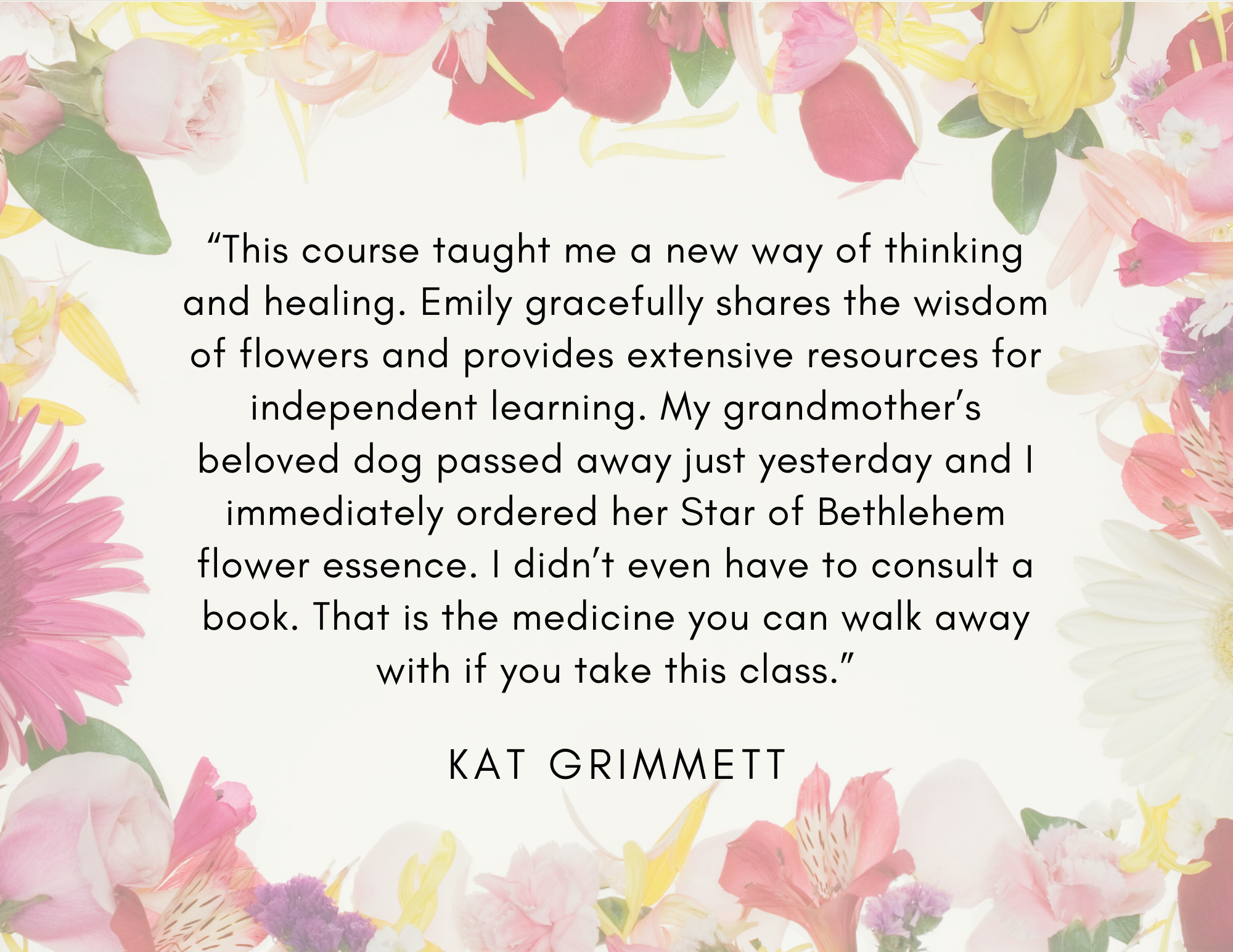 Flower Essences for Emotional Health 9 7