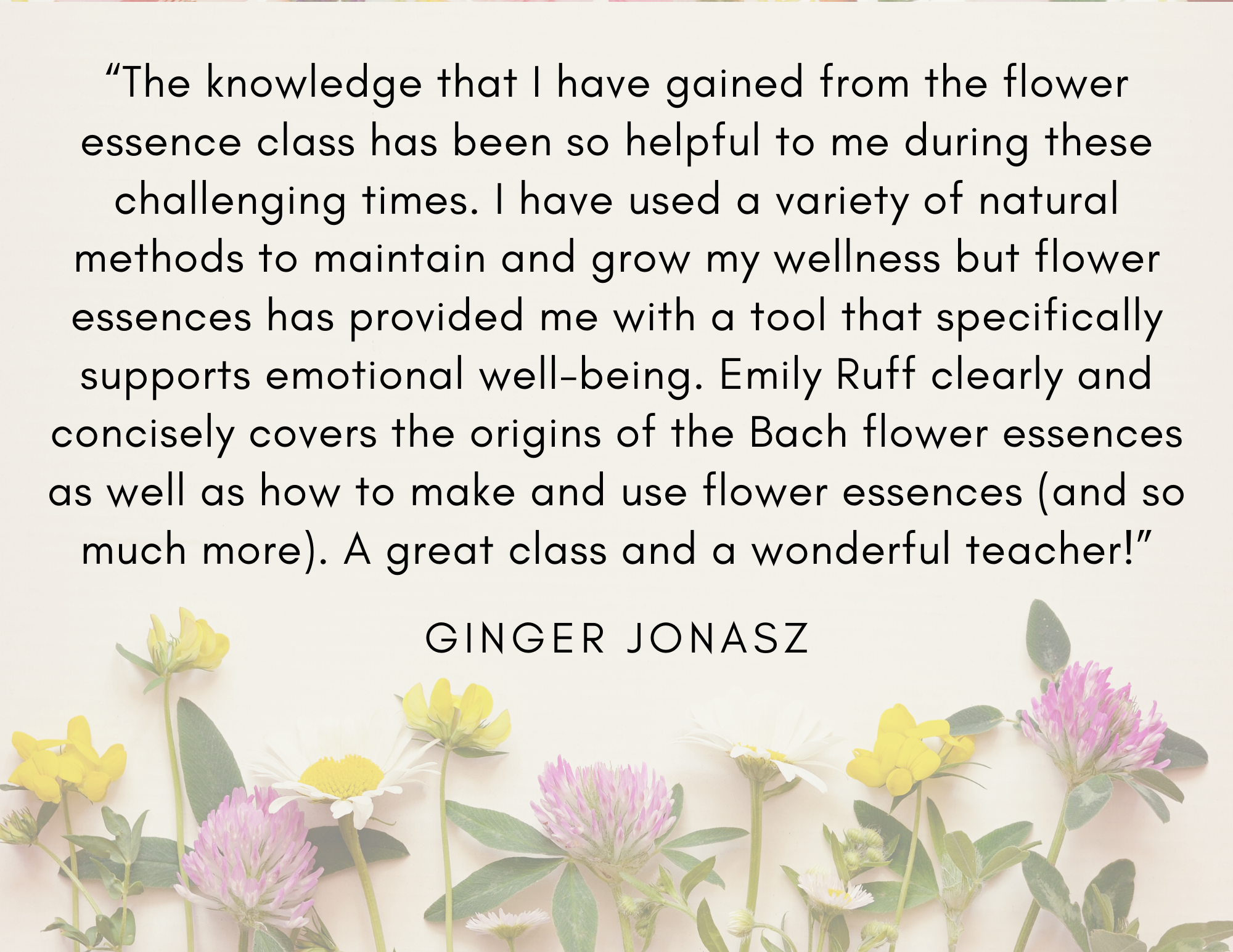 Flower Essences for Emotional Health 10 8