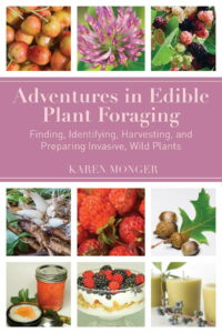 adventures in edible plant foraging 2