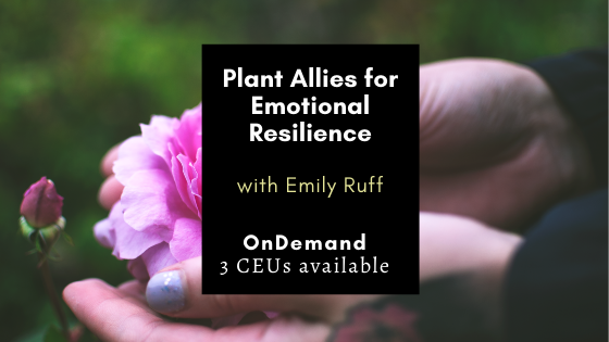 Plant Allies for Emotional Resilience