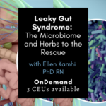 Leaky Gut Syndrome OnDemand 1
