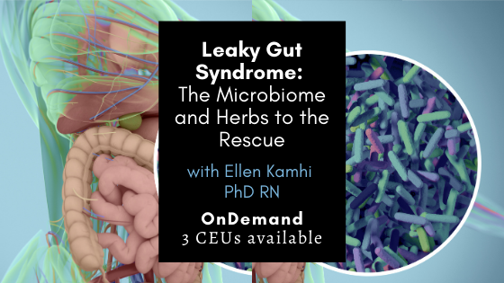 Leaky Gut Syndrome OnDemand 1