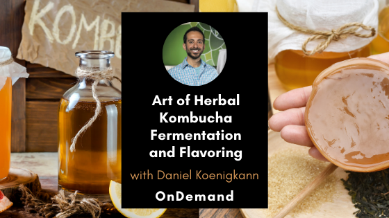Art of Herbal Kombucha Fermentation and Flavoring OnDemand