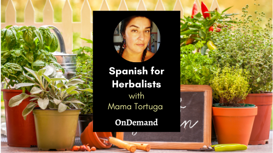 Spanish for Herbalists Mama Tortuga Ondemand
