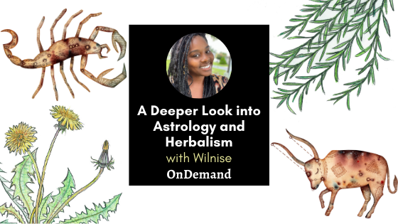 A Deeper Look into Atrsology and Herbalism with Wilnise Francois