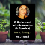 10 herbs Latin America Mama Tortuga