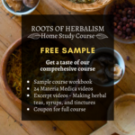Roots of Herbalism Sample Class