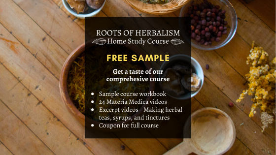 Roots of Herbalism Sample Class