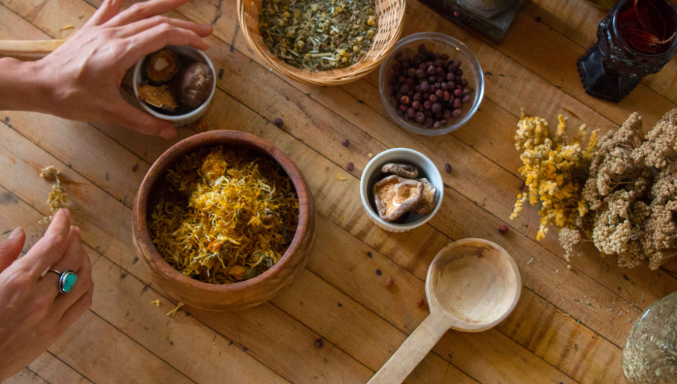 Home 5 cropped Training Herbalists for over 20 years 1