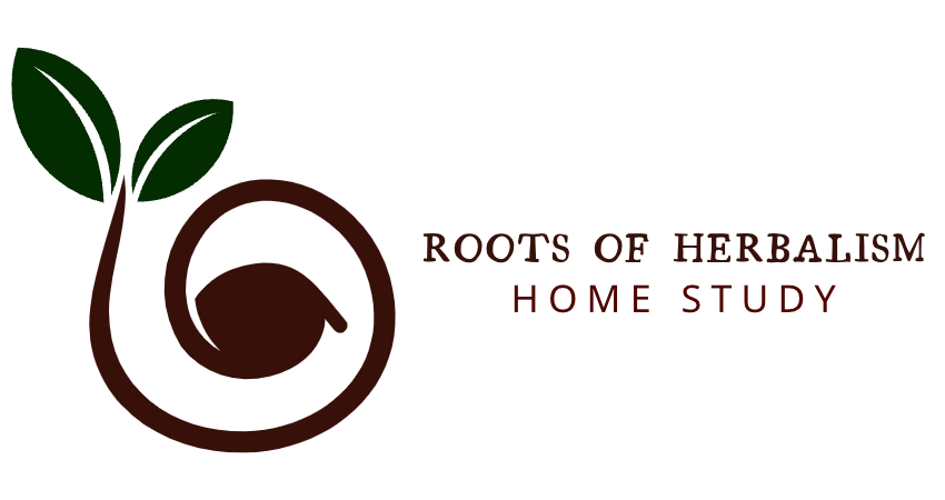 graphic of a seedling with text roots of herbalism home study