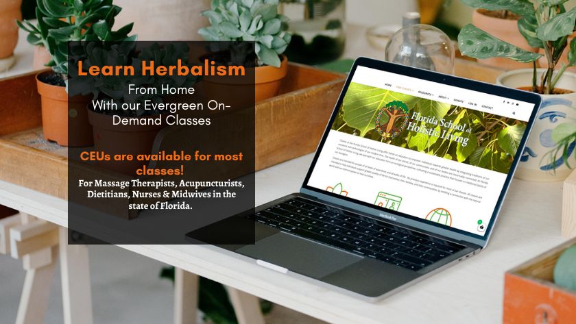 table with potted plants and laptop displaying find classes page for florida school of holistic living and text overlay to learn herbalism from home with our on-demand classes and continuing education units are available