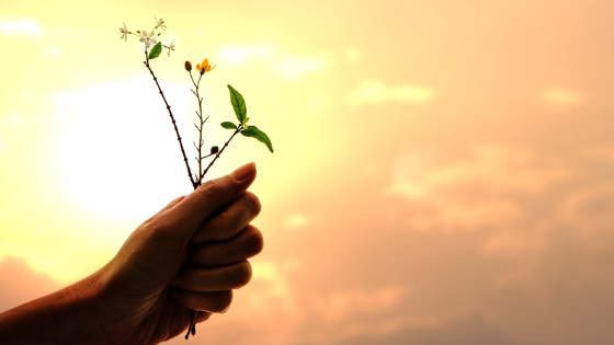 Grow with us 1 make a donation web 560x315 1