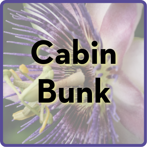 Cabin Bunk