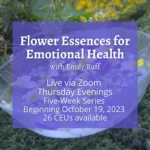 Flower Essences 2023 with Emily square 1