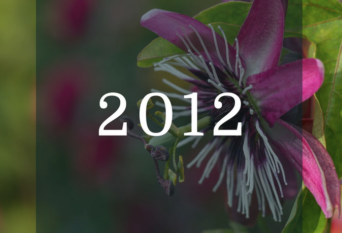 Screen Shot 2023 05 23 at 1.05.16 AM