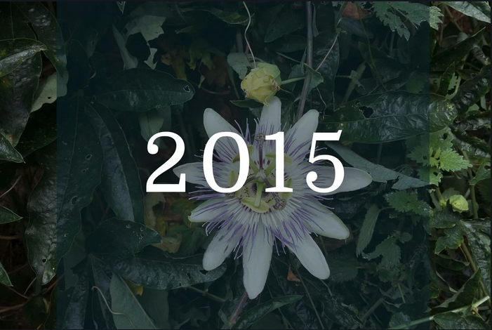 Screen Shot 2023 05 23 at 1.10.15 AM