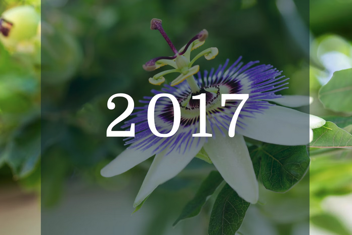 Screen Shot 2023 05 23 at 2.05.13 AM