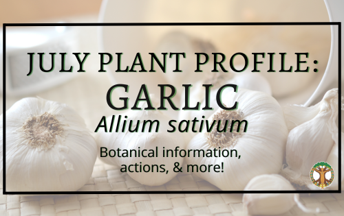 Facebook Cover Garlic Plant of the Month