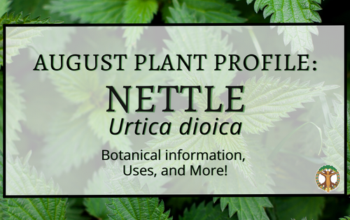 Facebook Cover Nettle Plant of the Month