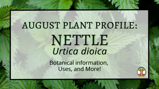 Facebook Cover Nettle Plant of the Month