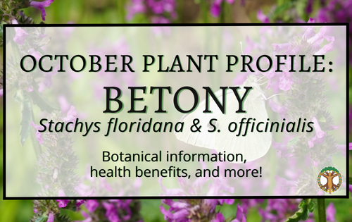 Facebook Cover Betony Plant of the Month
