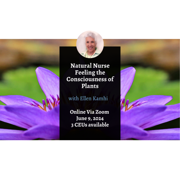 Natural Nurse Feeling the Consciousness of Plants class 4 2