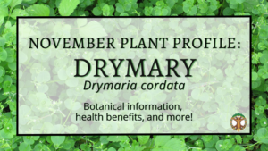 Facebook Cover Drymary Plant of the Month