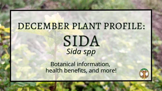 Facebook Cover Sida Plant of the Month