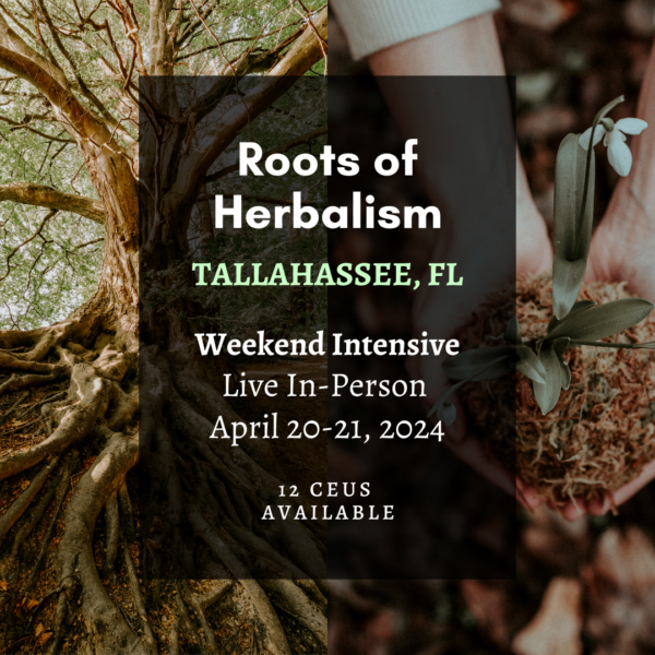 Roots of Herbalism Tallahassee - Live In-Person - April 20-21, 2024