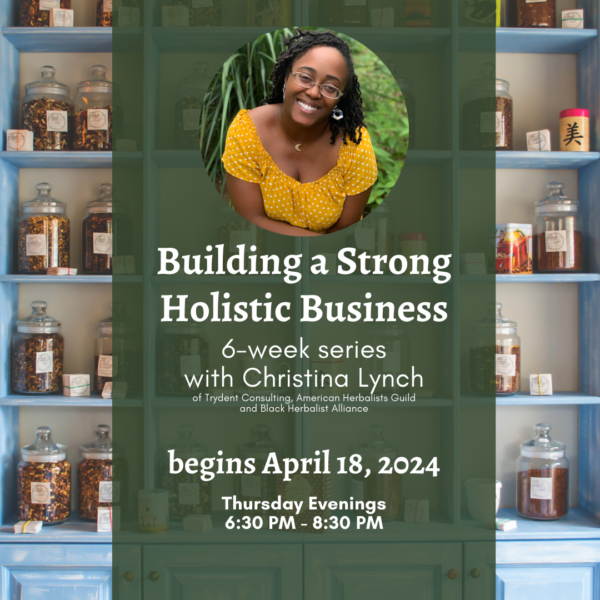 Christina Building a Strong Holistic Business Series 2024