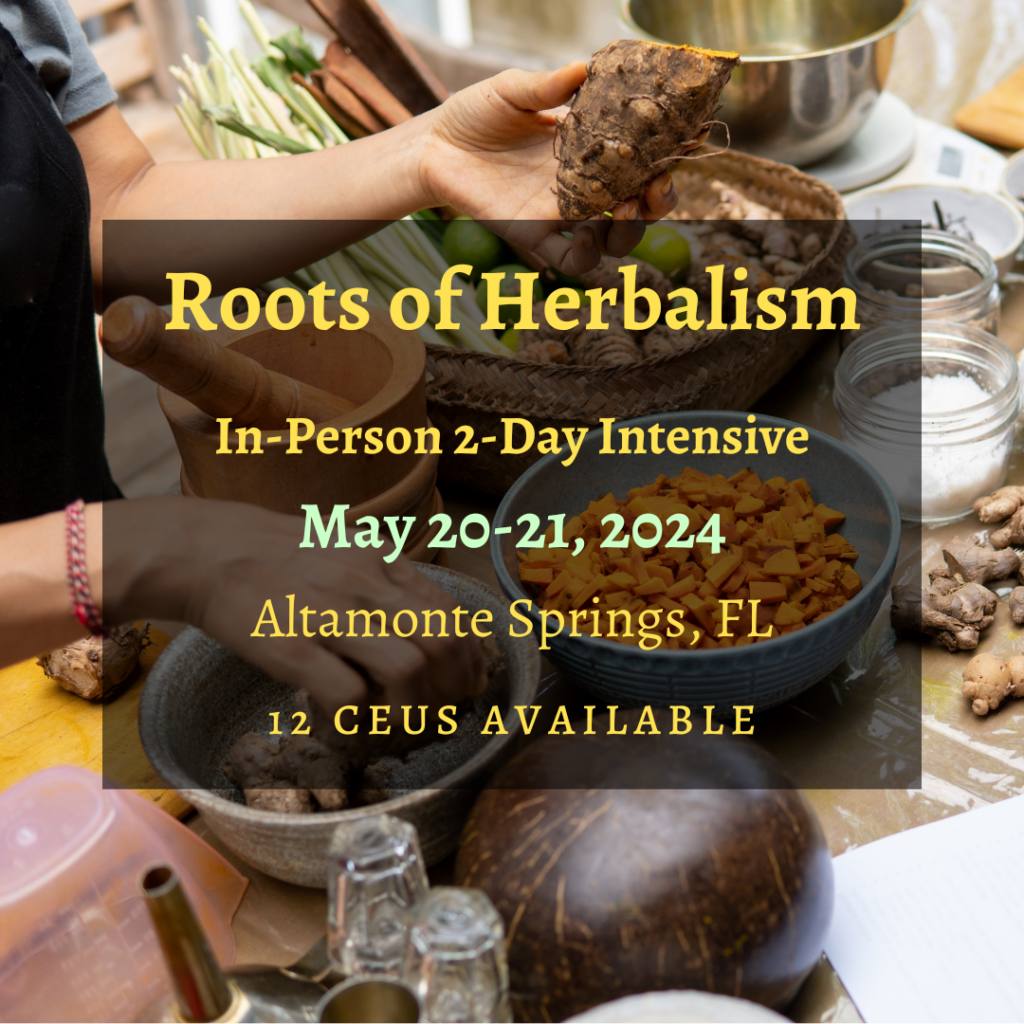 Herbalist Training Follow the Plant Path Florida School of Holistic