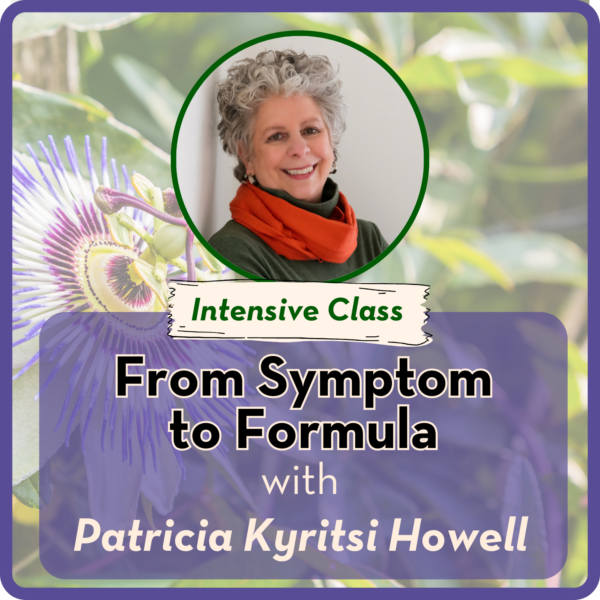 Intensive: From Symptom to Formula with Patricia Kyritsi Howell