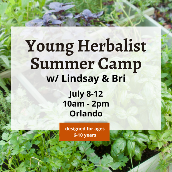 Young Herbalist Summer Camp - July 8-12, 2024