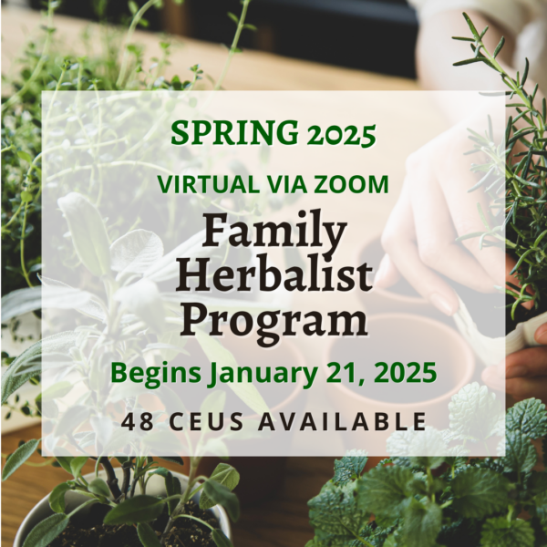 Family Herbalist Program - Live Online Via Zoom - Spring 2025