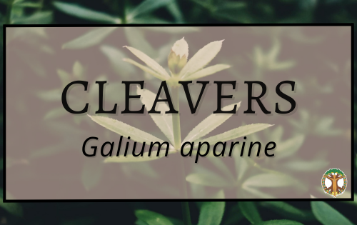 Cleavers