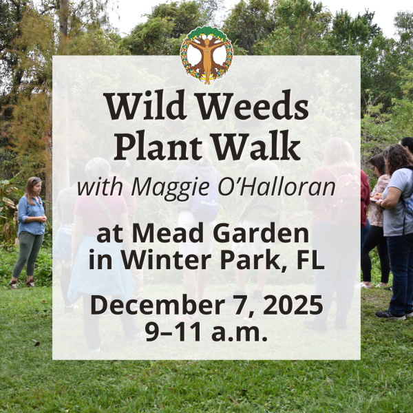 Wild Weeds Plant Walk at Mead Garden with Maggie- December 7, 2025
