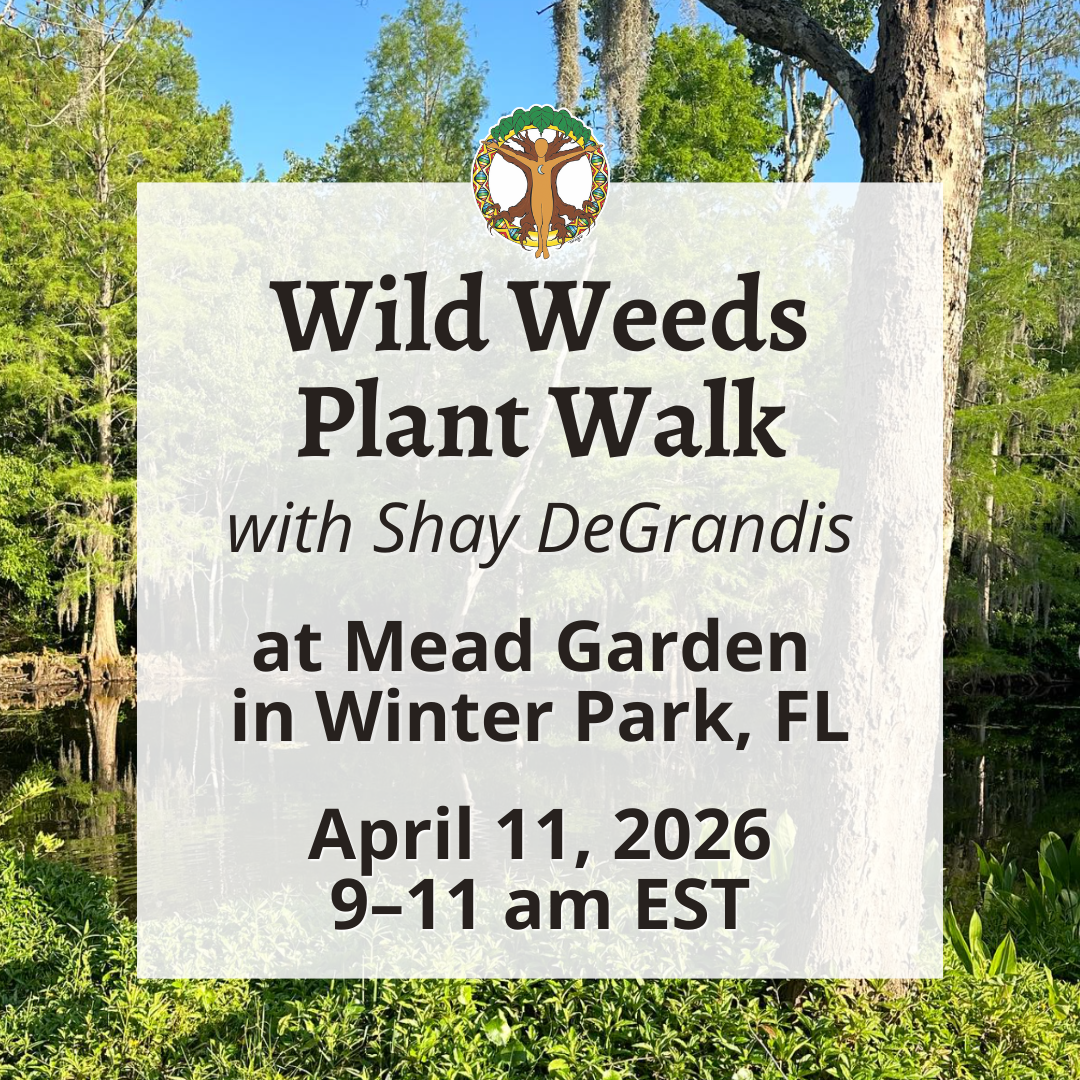 2026 FSHL Classes Square Graphic 3