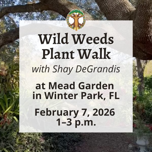 Wild Weeds Plant Walk at Mead Garden with Shay - February 7, 2026