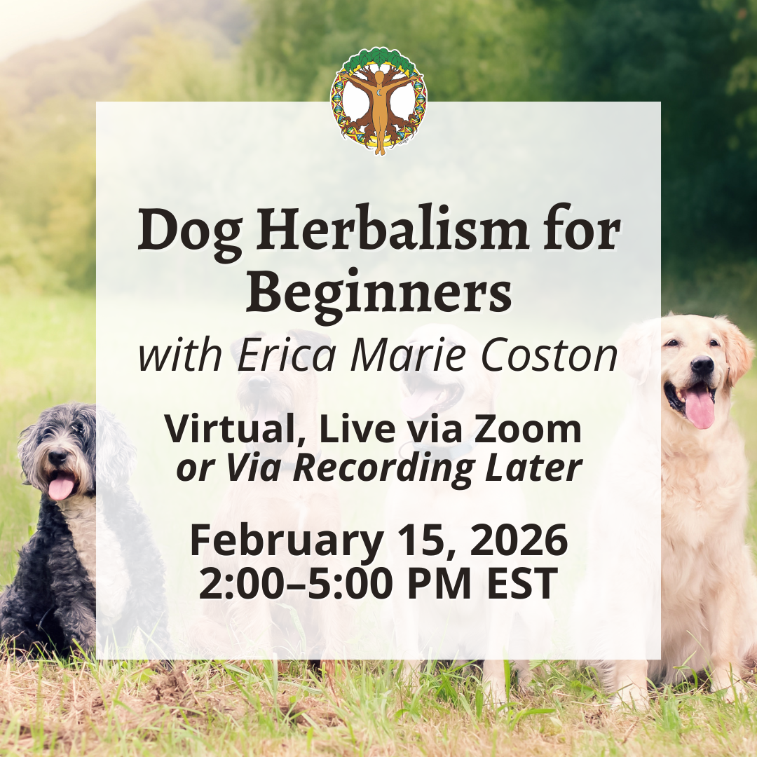 Dog Herbalism for Beginners with Erica Marie Coston - Virtual via Zoom - February 15, 2026 1 Dog Herbalism for Beginners with Erica Marie Coston - Virtual via Zoom - February 15, 2026