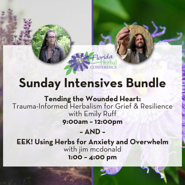 FHC - 2026 - Intensive Bundle