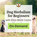 Dog Herbalism for Beginners with Erica Marie Coston 2026 FSHL Classes Square Graphic 42
