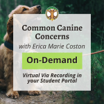 Common Canine Concerns with Erica Marie Coston 2026 FSHL Classes Square Graphic 25