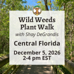 Wild Weeds Plant Walk in Central Florida with Shay - December 5, 2026 2026 FSHL Classes Square Graphic 40