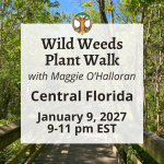 Wild Weeds Plant Walk in Central Florida with Maggie- January 9, 2027 2026 FSHL Classes Square Graphic 41