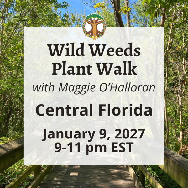 Home 17 Wild Weeds Plant Walk in Central Florida with Maggie- January 9, 2027