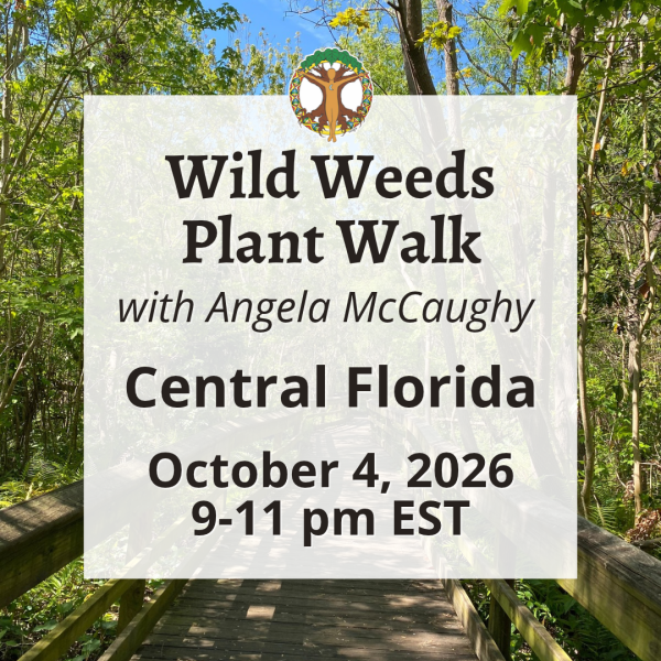 Home 16 Wild Weeds Plant Walk in Central Florida with Angela - October 4, 2026