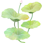 The Florida Herbal Conference 4 icon in watercolor style of a bud surrounded by green leaves